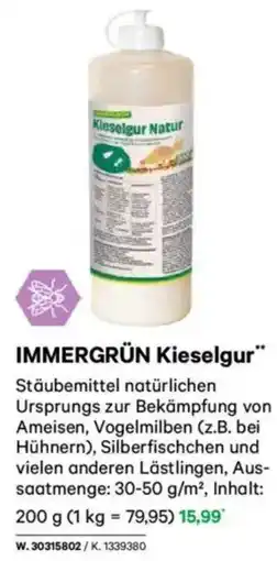 Lagerhaus IMMERGRÜN Kieselgur Angebot