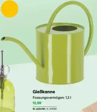 Lagerhaus Gießkanne Angebot