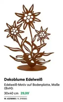 Lagerhaus Dekoblume Edelweiß Angebot