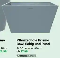 Lagerhaus Pflanzschale Prismo Bowl Eckig und Rund Angebot