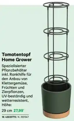 Lagerhaus Tomatentopf Home Grower Angebot