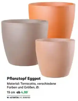 Lagerhaus Pflanztopf Eggpot Angebot