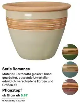 Lagerhaus Serie Romance Pflanztopf Angebot