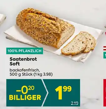 Billa Saatenbrot Soft Angebot