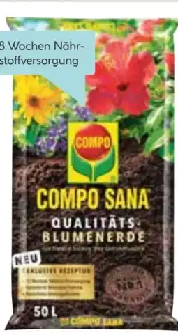 Hellweg Compo Qualitäts-Blumenerde Angebot