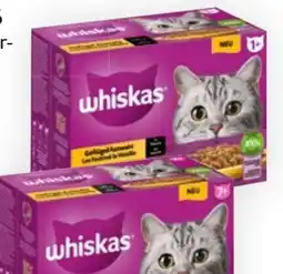 Bipa Whiskas Katzenfutter Frischebeutel Angebot