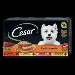 dm Cesar Hundenassfutter Angebot