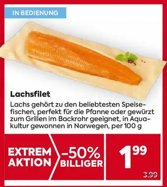 Billa Lachsfilet Angebot