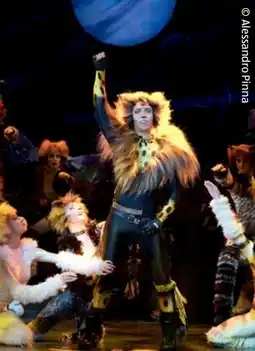 Hofer Reisen Hofer-Reisen Deutschland-München Musical Cats Angebot