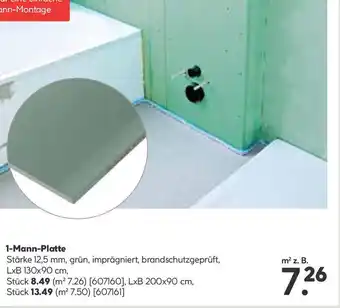 Hellweg 1-mann-platte Angebot