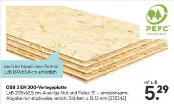Hellweg Osb 3 en 300-verlegeplatte Angebot