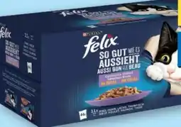 T&G Purina Felix Katzennahrung Jumbo Angebot