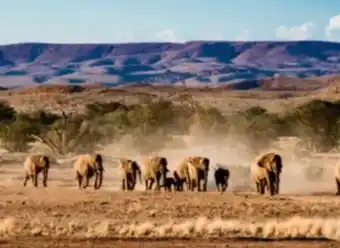 Lidl Reisen Lidl-Reisen Namibia-Rundreise Angebot