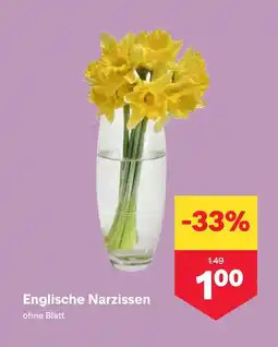 MPreis Englische Narzissen Angebot