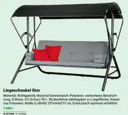 Lagerhaus Liegeschaukel star Angebot