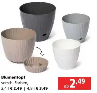 Pagro Diskont Blumentopf Angebot