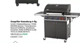 Lagerhaus Gasgriller keansburg 4-flg Angebot