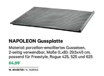 Lagerhaus Napoleon gussplatte Angebot