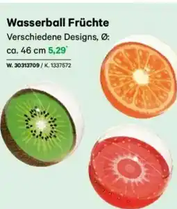 Lagerhaus Wasserball früchte Angebot