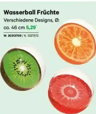 Lagerhaus Wasserball früchte Angebot