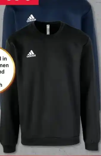 Woolworth Adidas Herren Sweatshirts Angebot