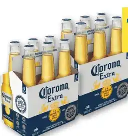 T&G Corona Extra Mexican Beer Angebot