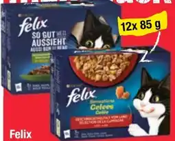 Maximarkt Purina Felix Katzennahrung Angebot