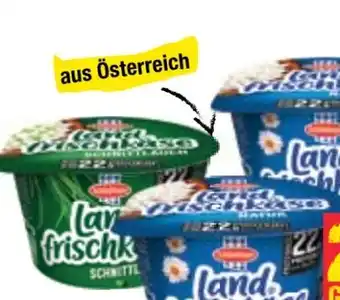 Maximarkt Schärdinger Landfrischkäse Angebot