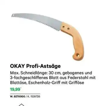 Lagerhaus Okay profi-astsäge Angebot