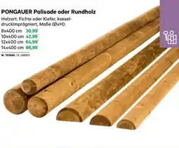 Lagerhaus Pongauer palisade oder rundholz Angebot