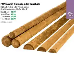 Lagerhaus Pongauer palisade oder rundholz Angebot