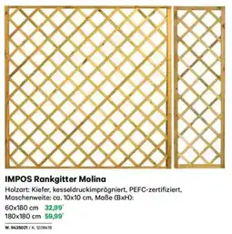 Lagerhaus Impos rankgitter molina Angebot