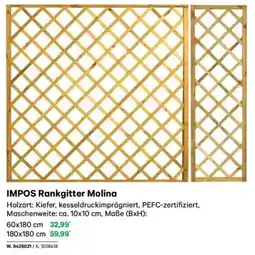 Lagerhaus Impos rankgitter molina Angebot