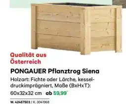 Lagerhaus Pongauer pflanztrog siena Angebot