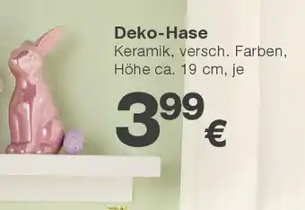 KiK Deko-hase Angebot