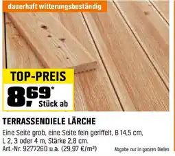 OBI Terrassendiele lärche Angebot