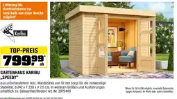 OBI Gartenhaus karibu ,,speedy Angebot