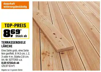 OBI Terrassendiele lärche Angebot