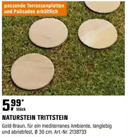 OBI Naturstein trittstein Angebot