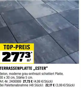 OBI Terrassenplatte,,ester Angebot