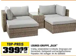 OBI Lounge-gruppe „olea Angebot