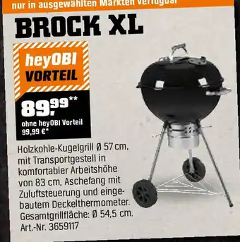 OBI Brock xl Angebot