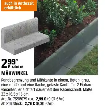 OBI Mähwinkel Angebot