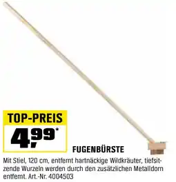 OBI Fugenbürste Angebot