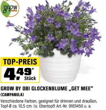 OBI Grow by obi glockenblume,,get mee" (campanula) Angebot