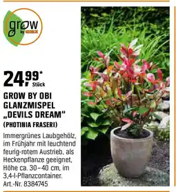 OBI Grow by obi glanzmispel ,,devils dream Angebot