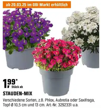 OBI Stauden-mix Angebot