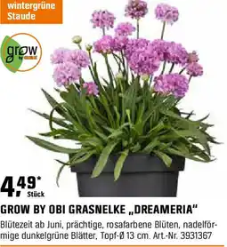 OBI Grow by obi grasnelke,,dreameria Angebot