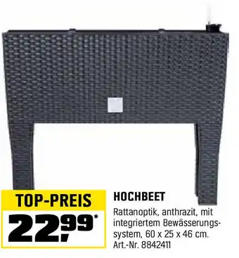 OBI Hochbeet Angebot