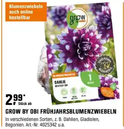 OBI Grow by obi frühjahrsblumenzwiebeln Angebot